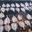 Grilling smoked whitefish